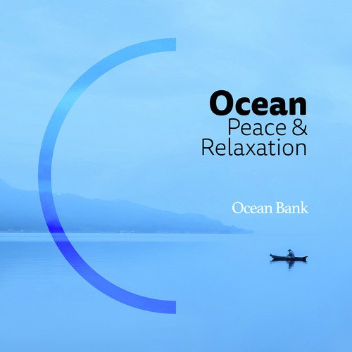 Seabirds cover art