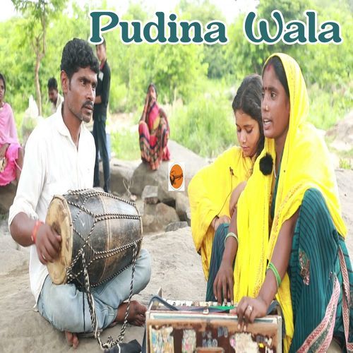 Pudina Wala