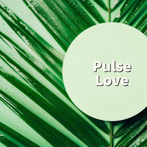 Pulse Love cover art