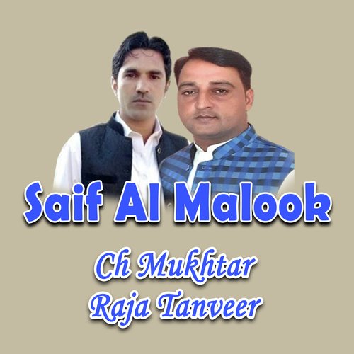 Saif Al Malook