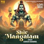 Shiv Mangalam Lofi