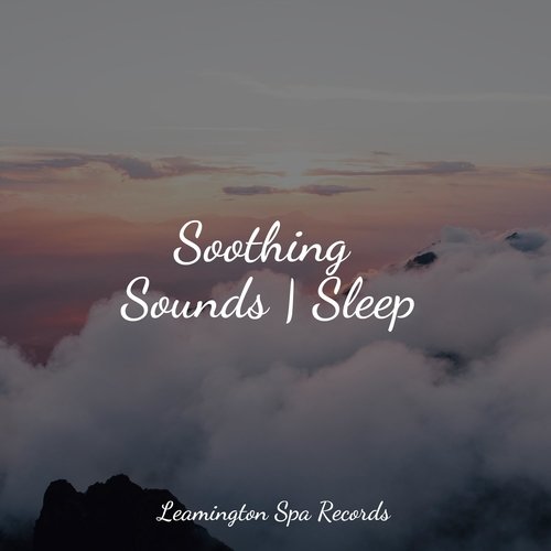 Sleep Music cover art