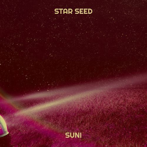 Star Seed cover art