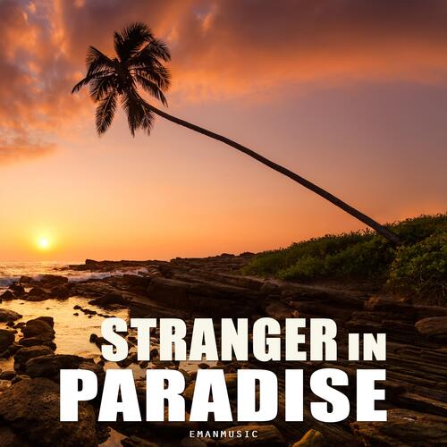 Stranger In Paradise