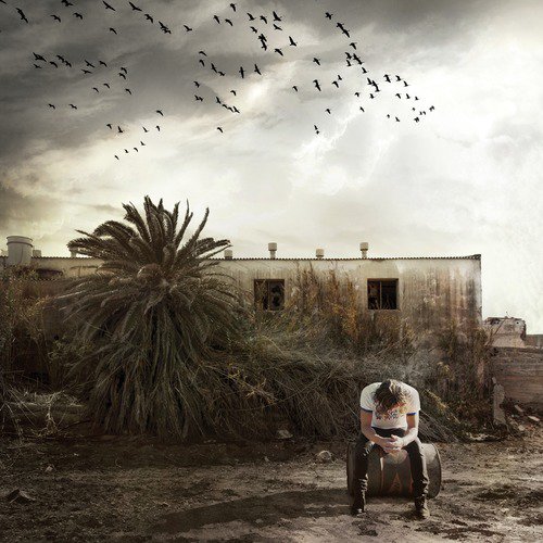 The Low cover art