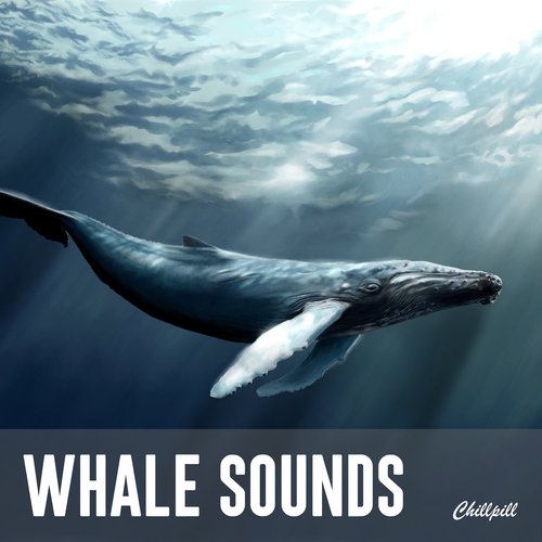 Whale Sounds_poster_image