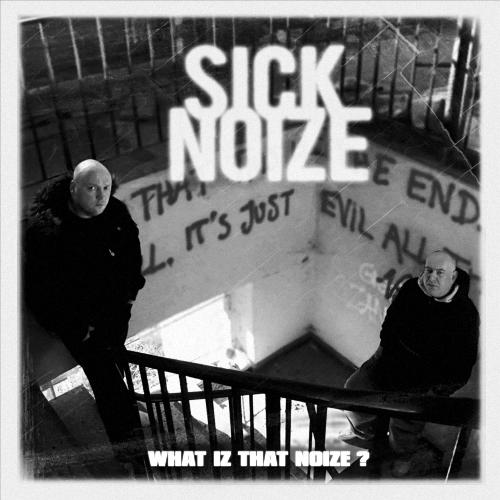 What Iz That Noize ?