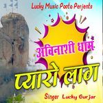 Avinashi Dham Pyaro Laag artwork