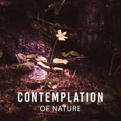 Relaxing Therapy cover art