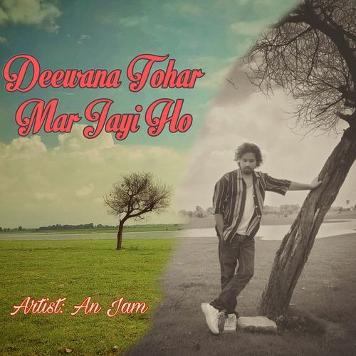 Deewana Tohar Mar Jayi Ho