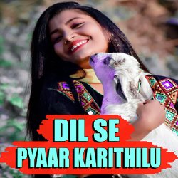 Dil Se Pyaar Karithilu-Ih4cBhleWgs