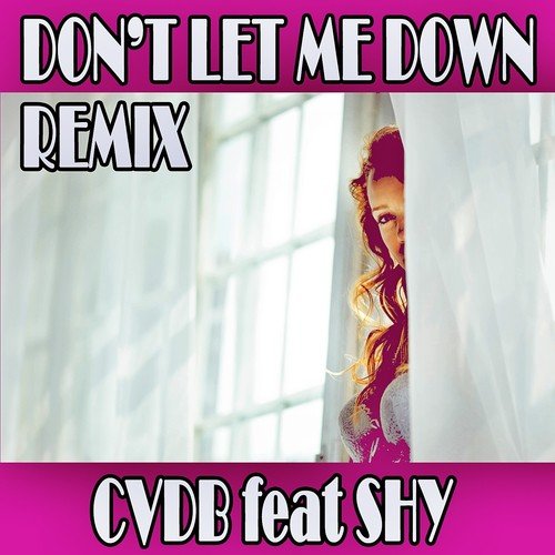 Don't let me down (Remix)