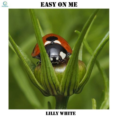 Easy on me