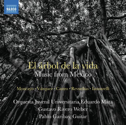 El árbol de la vida: Music from Mexico_poster_image