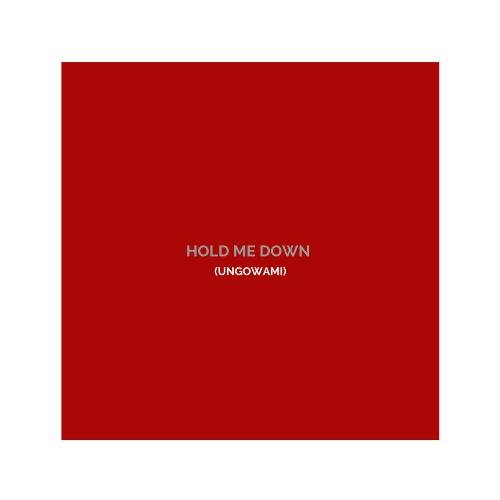 Hold Me Down_poster_image