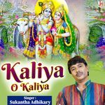 Kaliya O Kaliya
