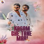 Kasam Che Tane Mari