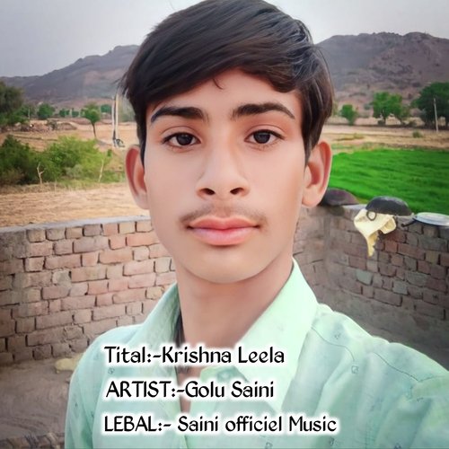 Krishna Leela
