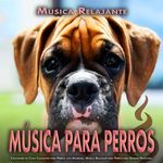 Música tranquila para perros dormidos
