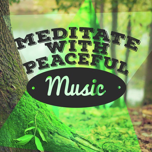 Meditate with Peaceful Music