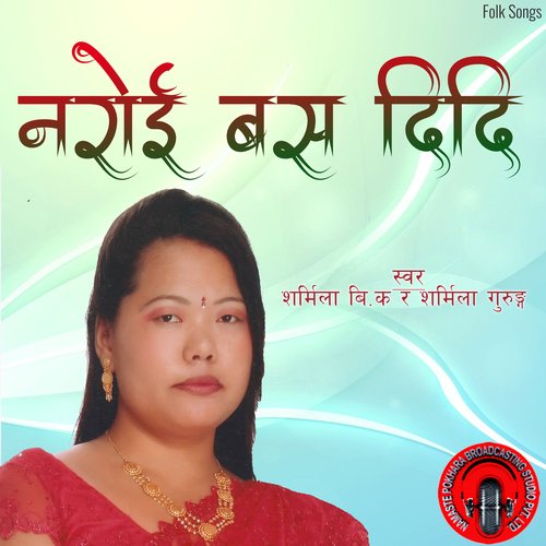 Naroi Basa Didi_poster_image