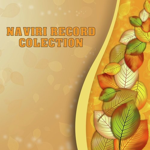 Naviri Record Collection_poster_image