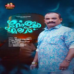 Amina Beevik Aaramba Poovallo