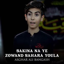 Sakina Na Ye Zowand Sahara Youla-FlksVCFbBkI