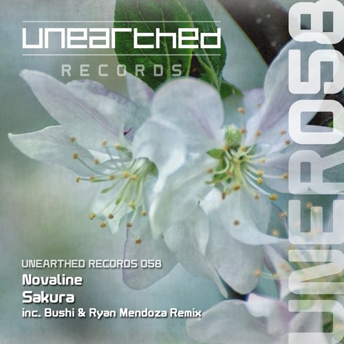 Sakura (Original Mix) cover art