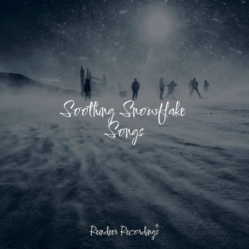 Soothing Snowflake Songs_poster_image