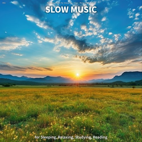 #01 Slow Music for Sleeping, Relaxing, Studying, Reading