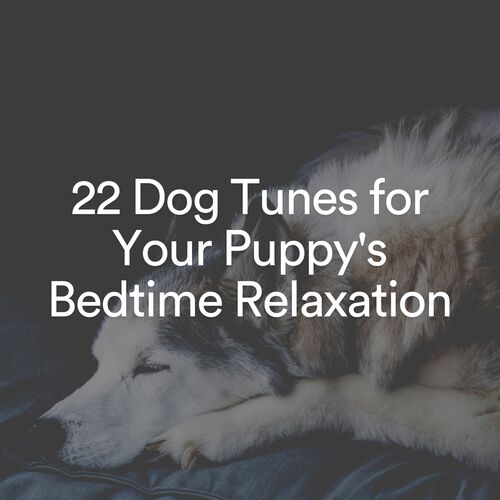 22 Dog Tunes for Your Puppy's Bedtime Relaxation