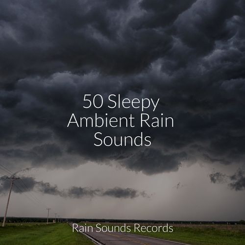 50 Sleepy Ambient Rain Sounds