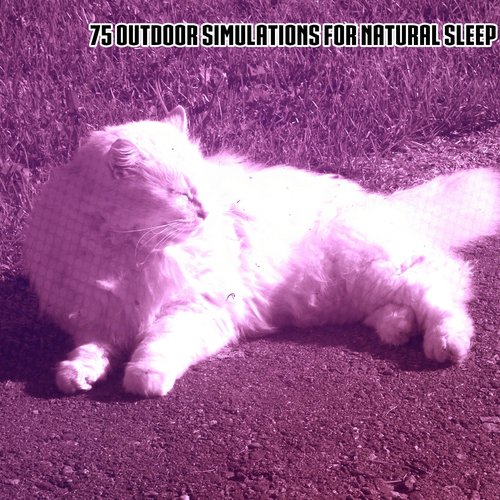 75 Outdoor Simulations For Natural Sleep