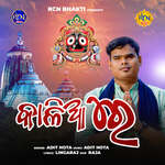 Andha Kari Mote Karichu Re Dhanya