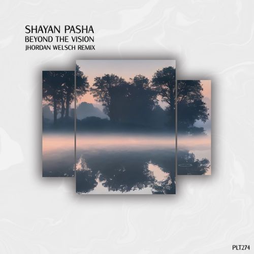 Beyond the Vision (Jhordan Welsch Remix) cover art
