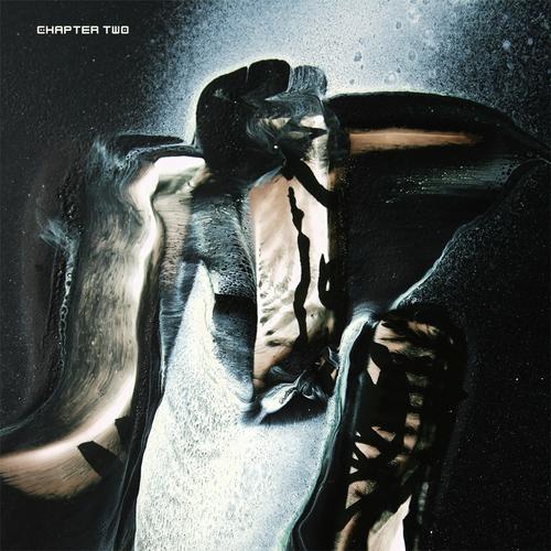 NETZWERK DER EITELKEITEN cover art