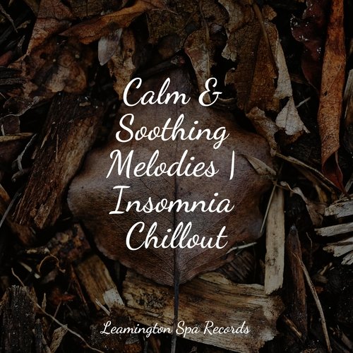 Calm & Soothing Melodies | Insomnia Chillout