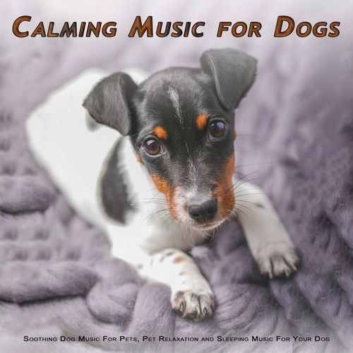 Dog Music