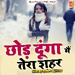 Chhod Dunga Main Tera Shahar