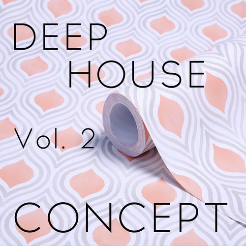 Wood Experience (Deep Groovers Mix) cover art