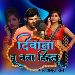 Deewana tu bna dihlu