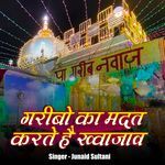 Ham Sab Ka Sahara Husain Hai