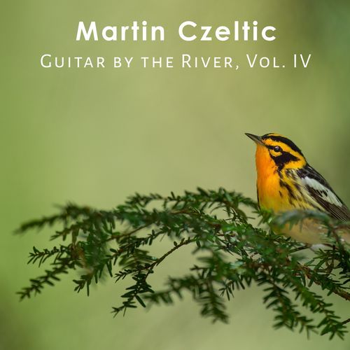 Ethereal Echoes & Nature cover art