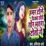 Hamr Tole Chijba Chhaudi Tor Bhatra Toto Ge