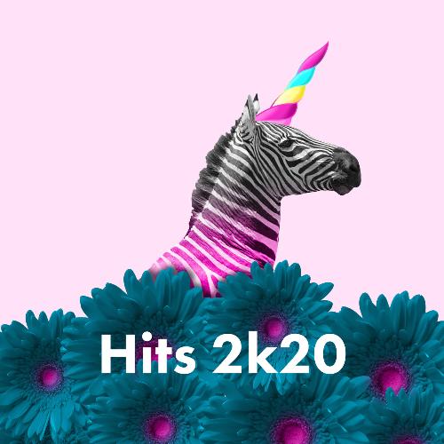 Hits 2k20