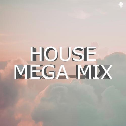 House Mega Mix_poster_image