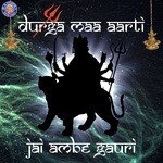 Jai Ambe Gauri-Durga Maa Aarti_poster_image