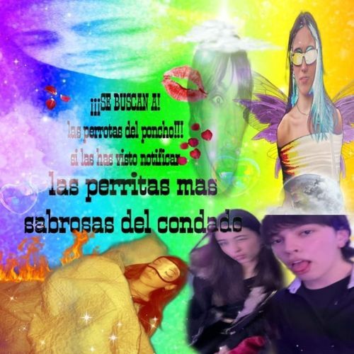 Las Perritas Mas Sabrosas del Poncho conocen a Charly James omggg