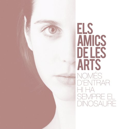Els Bons Fotògrafs cover art